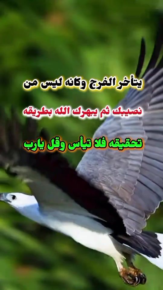 TikTok video thumbnail by the.store039