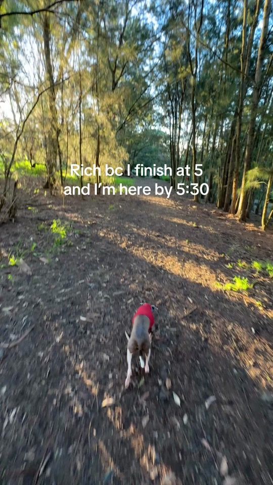 TikTok video thumbnail by maxlifejim