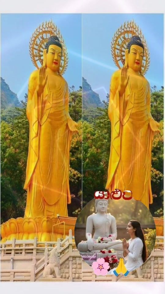 TikTok video thumbnail by g.s.lanka_1985