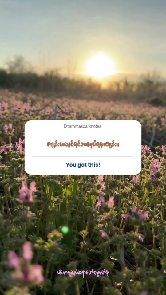 TikTok video thumbnail by dhammasparknotes