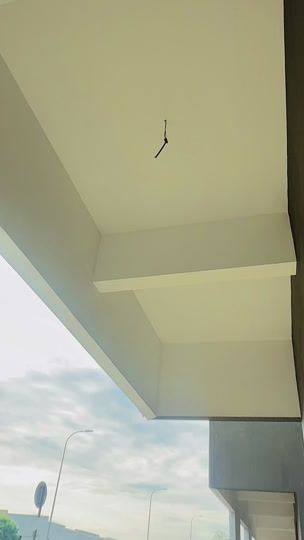 TikTok video thumbnail by naturalview5630