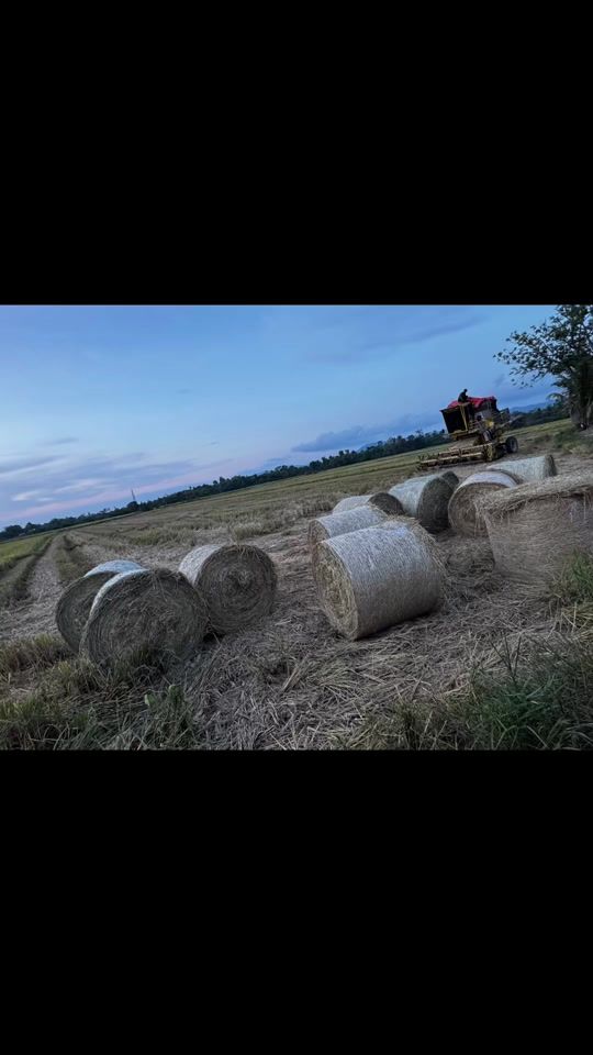 TikTok video thumbnail by abeqarimache