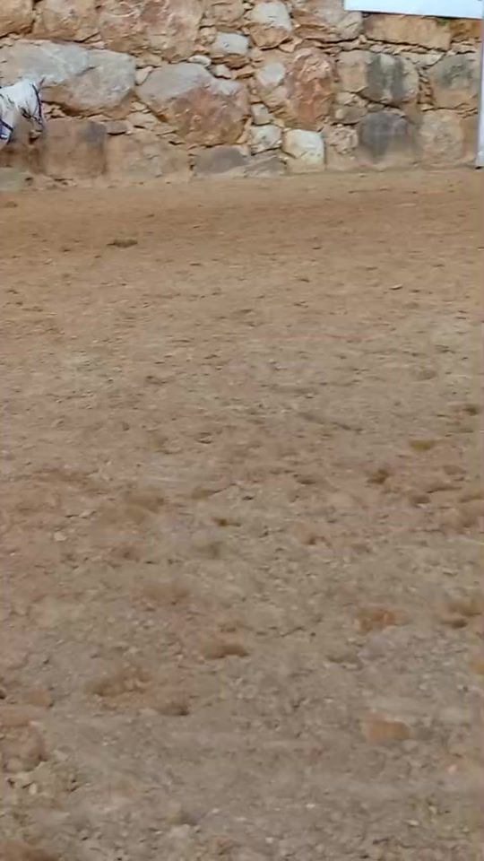 TikTok video thumbnail by abotamerfayad