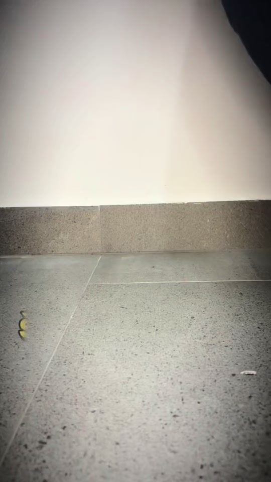 TikTok video thumbnail by hanny2024.g