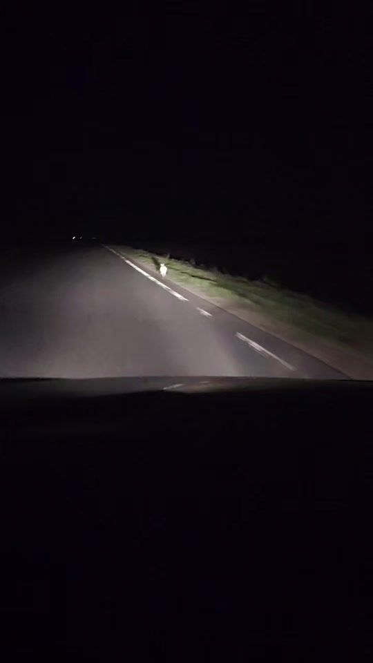 TikTok video thumbnail by kenzhk95