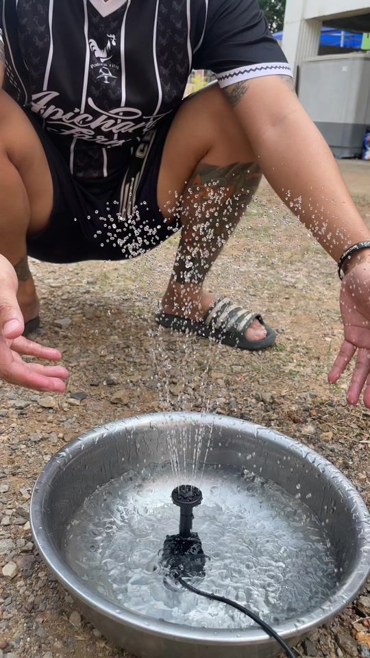 TikTok video thumbnail by misster_sun