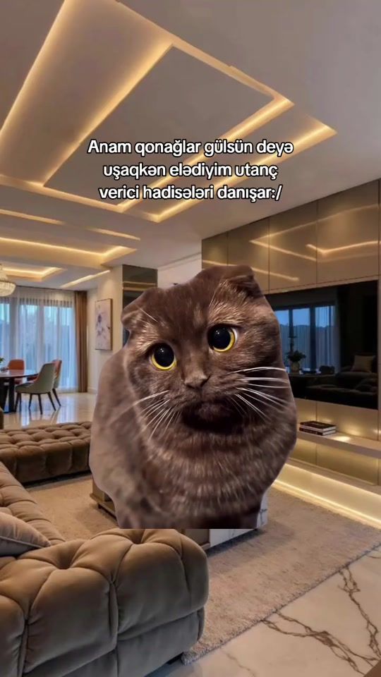 TikTok video thumbnail by _leopar.777