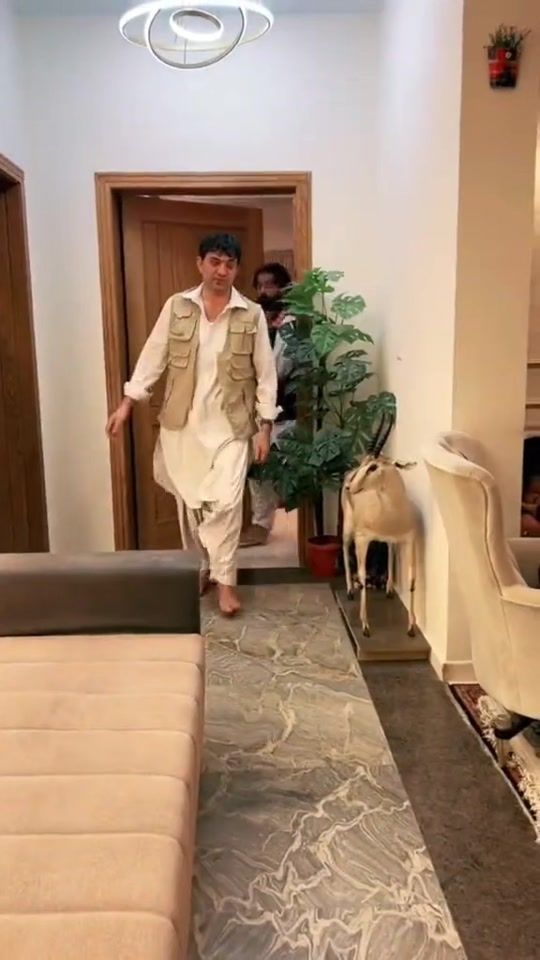 TikTok video thumbnail by princewaheedkhankakar2