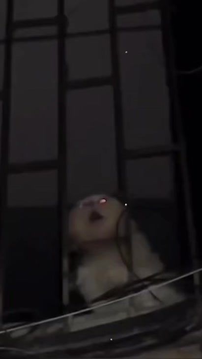 TikTok video thumbnail by luka4357450