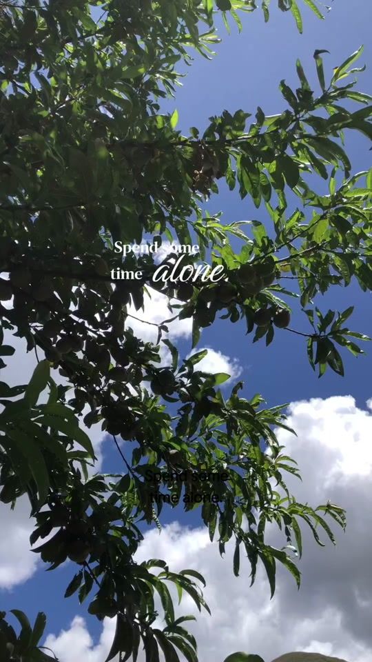 TikTok video thumbnail by esprit.0007