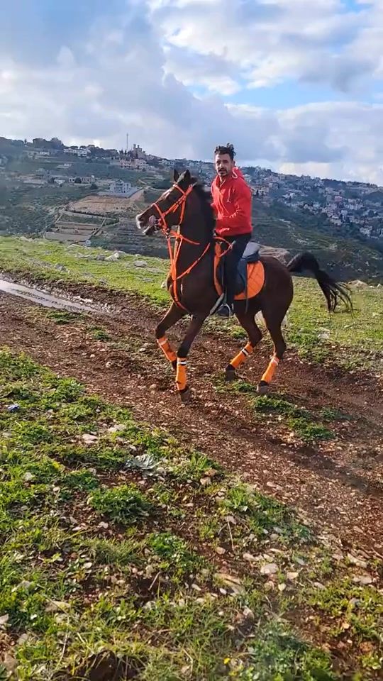 TikTok video thumbnail by hamodiihamze