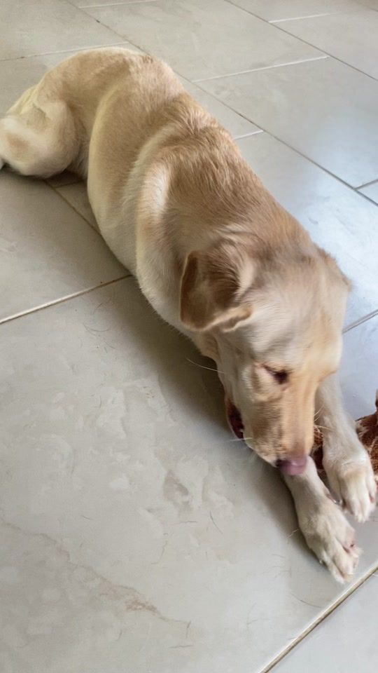TikTok video thumbnail by molly.labra