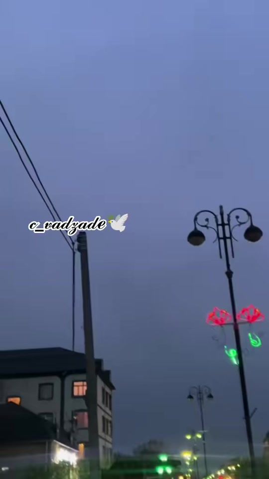 TikTok video thumbnail by __44____elya