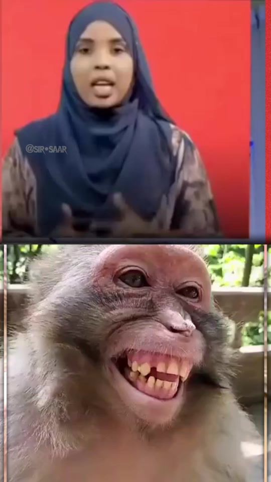 TikTok video thumbnail by sirsaar