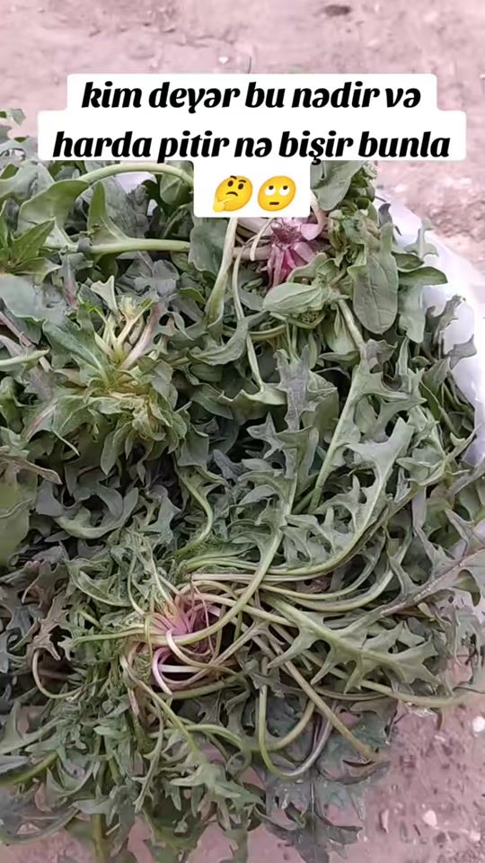 TikTok video thumbnail by yaallah587
