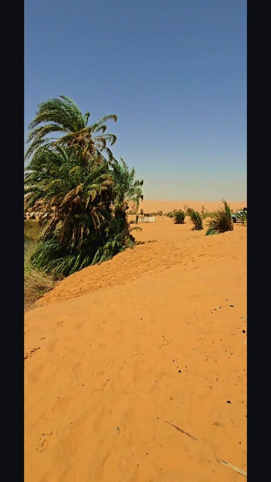 TikTok video thumbnail by user30822400061352