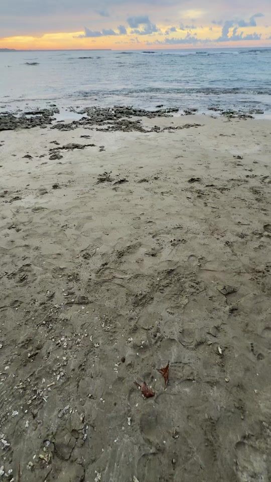 TikTok video thumbnail by tebanmorar