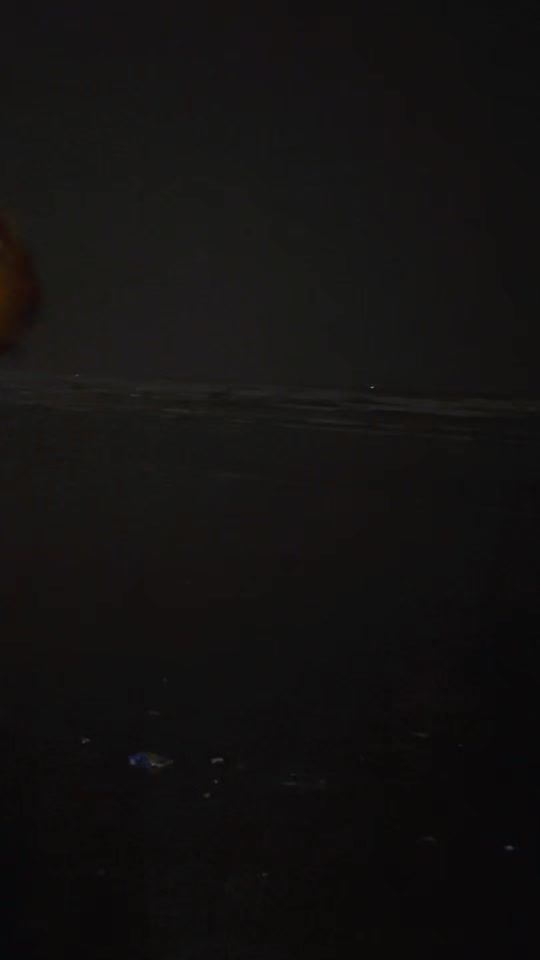 TikTok video thumbnail by dolly.peshoo