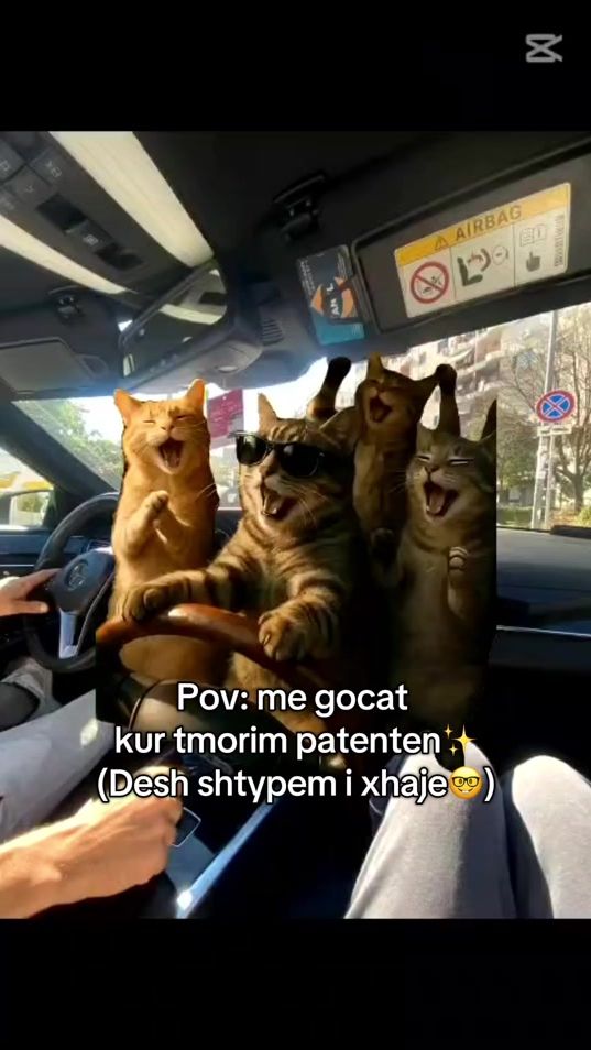 TikTok video thumbnail by bravomolle_lover