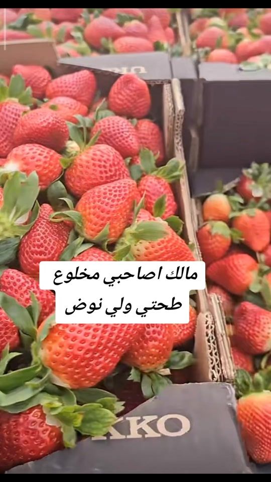 TikTok video thumbnail by weld_lblad1804