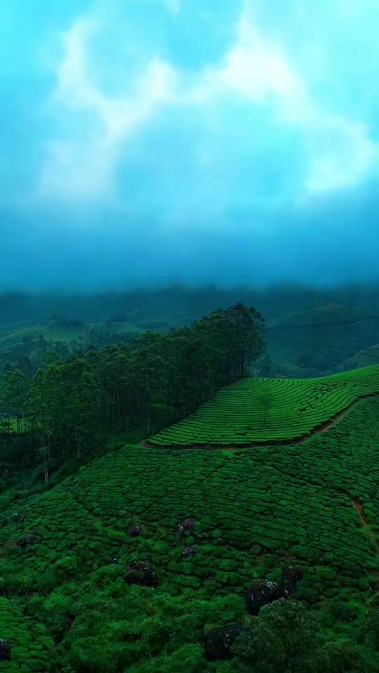 TikTok video thumbnail by noufal_kl10