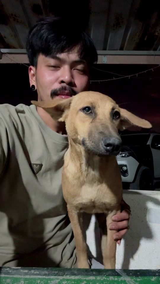 TikTok video thumbnail by skay_y