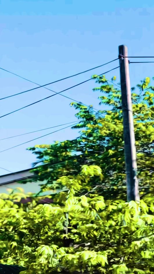 TikTok video thumbnail by mr.phycho2k