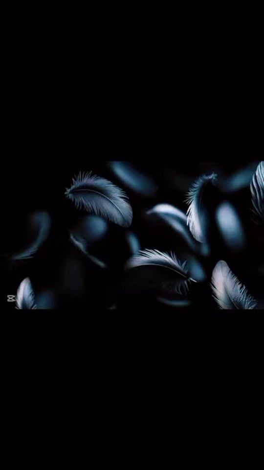 TikTok video thumbnail by jaffna_paijan