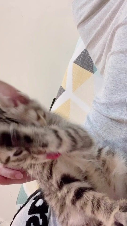 TikTok video thumbnail by qqqian_cc