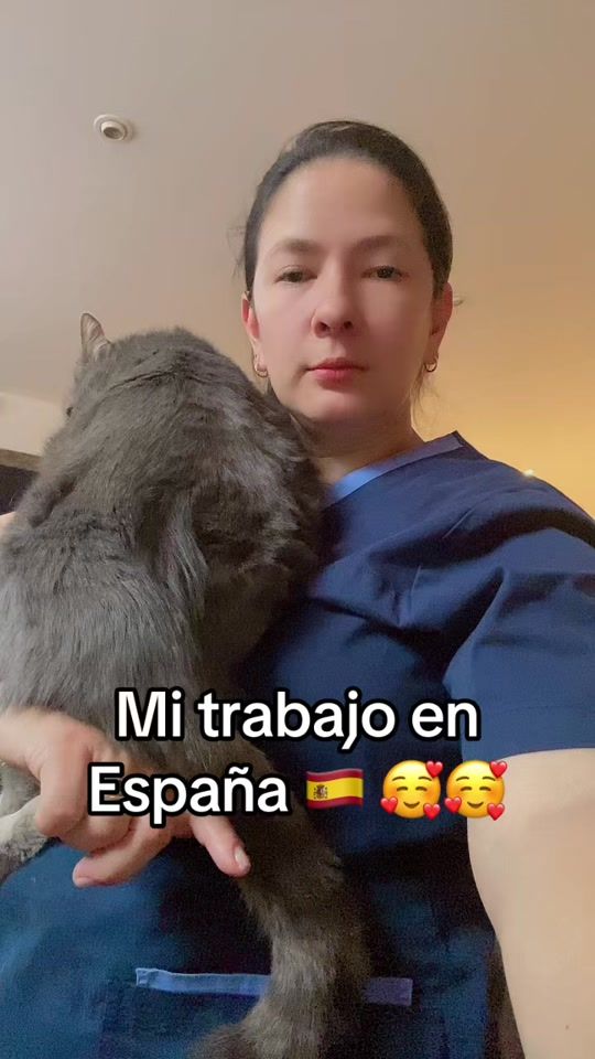 TikTok video thumbnail by joha529_
