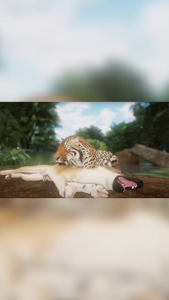 TikTok video thumbnail by primal.ecos