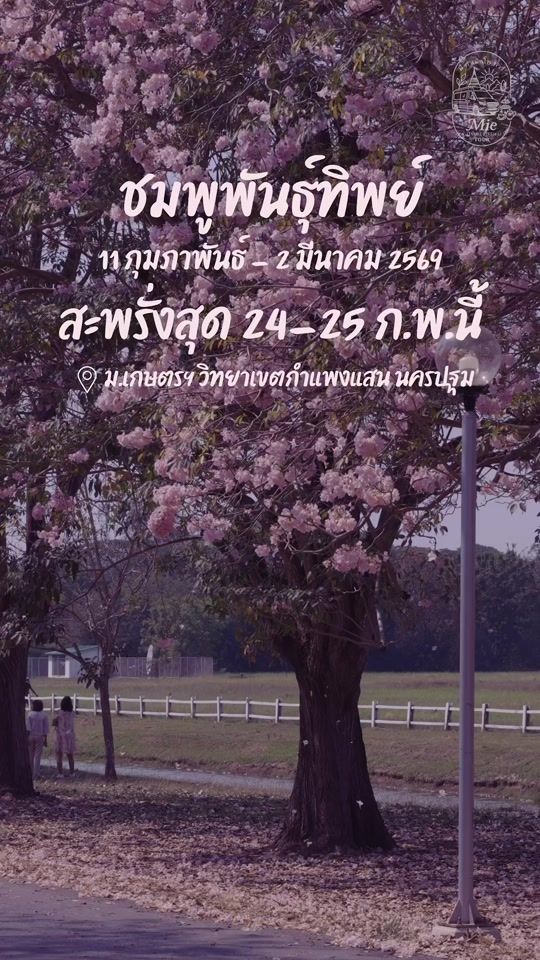 TikTok video thumbnail by mie.gumnerdthaitour