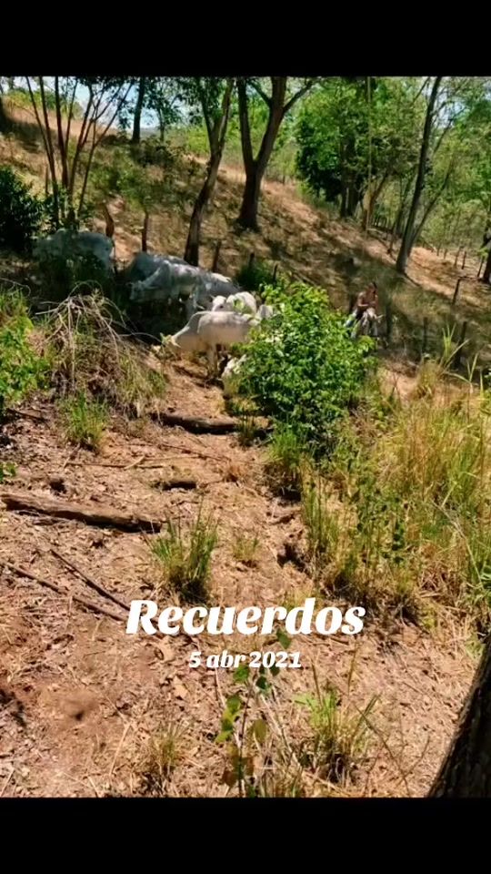 TikTok video thumbnail by fernanda_alfaro09