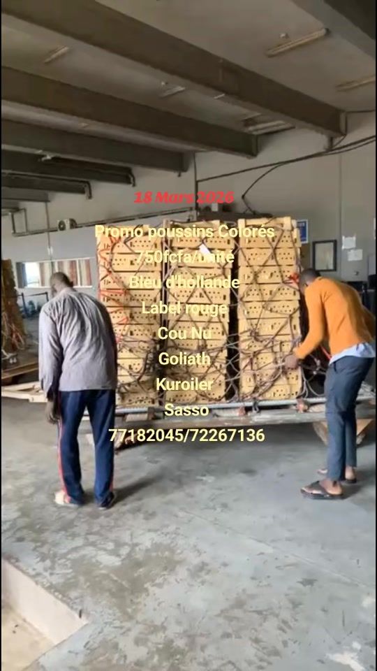 TikTok video thumbnail by avipro2023