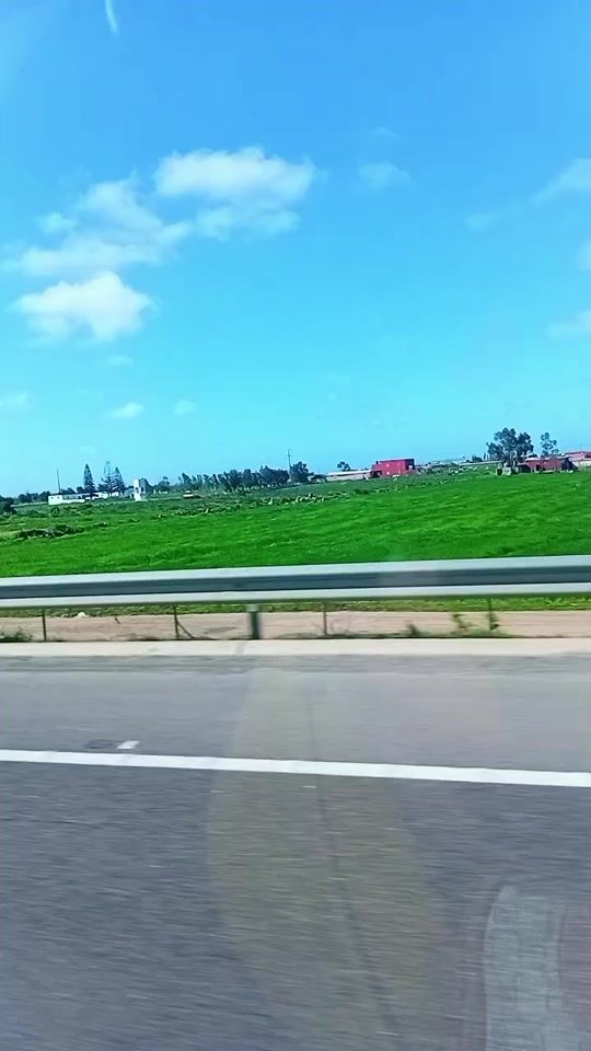 TikTok video thumbnail by ayafleur475