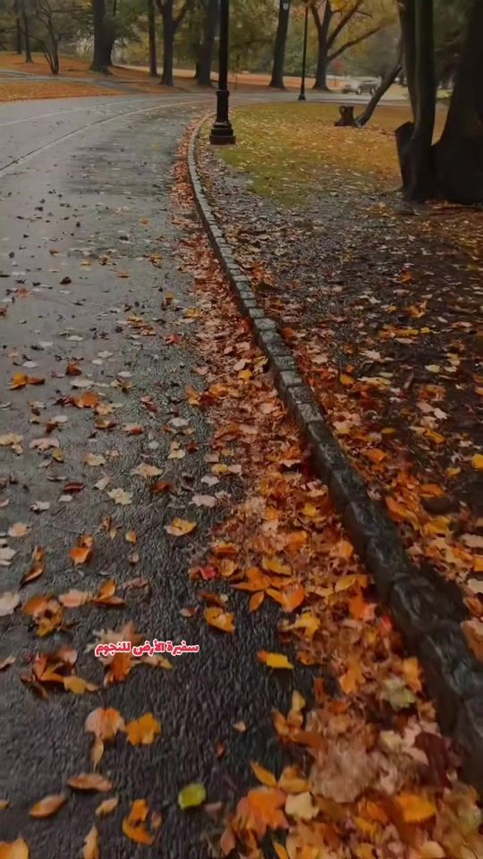 TikTok video thumbnail by fairouz.fm