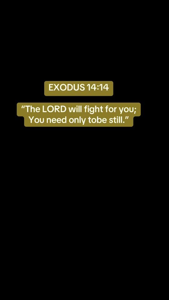 TikTok video thumbnail by florence_080808