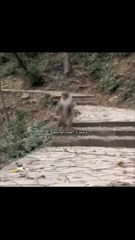 TikTok video thumbnail by 8_r211