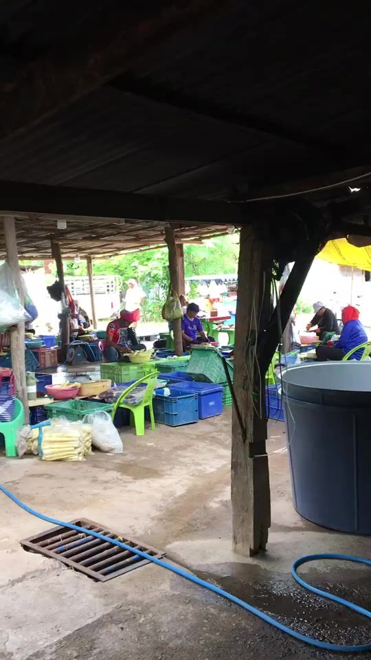 TikTok video thumbnail by thedew34