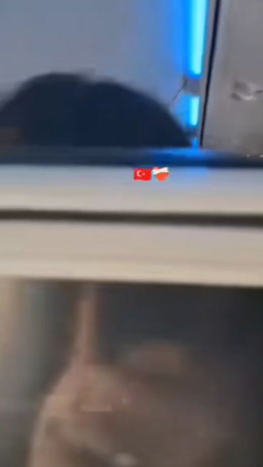 TikTok video thumbnail by arzuw0203