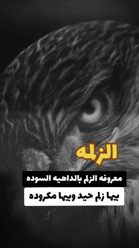 TikTok video thumbnail by bb_cc___79