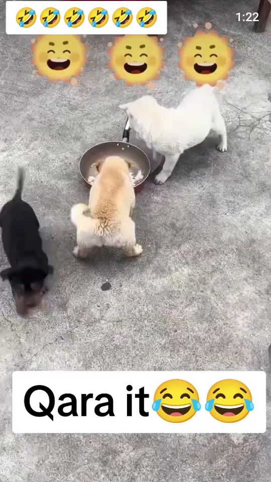 TikTok video thumbnail by seymur559ms