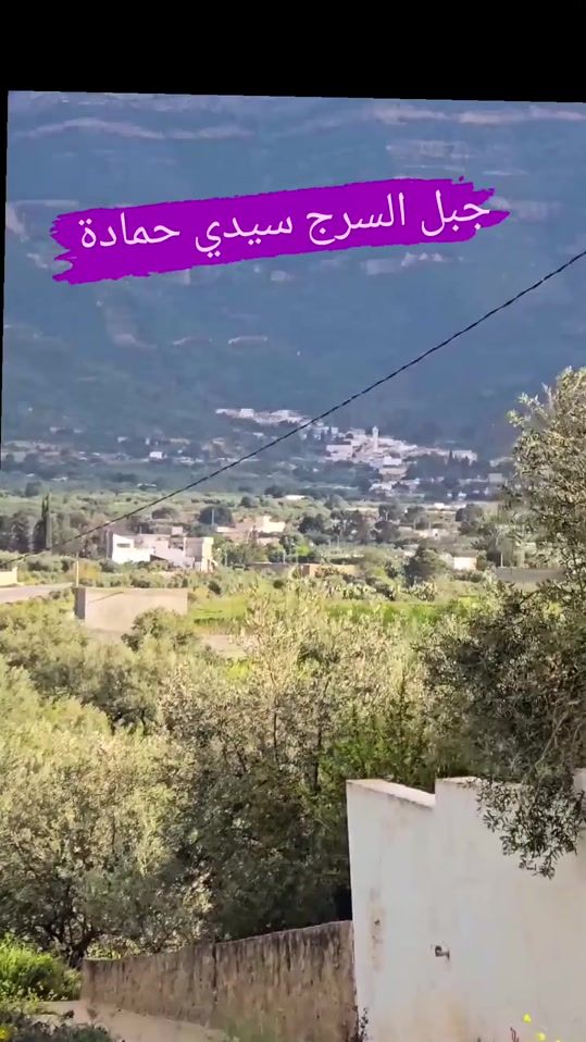 TikTok video thumbnail by aymend72