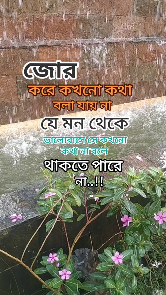 TikTok video thumbnail by sathi11776655