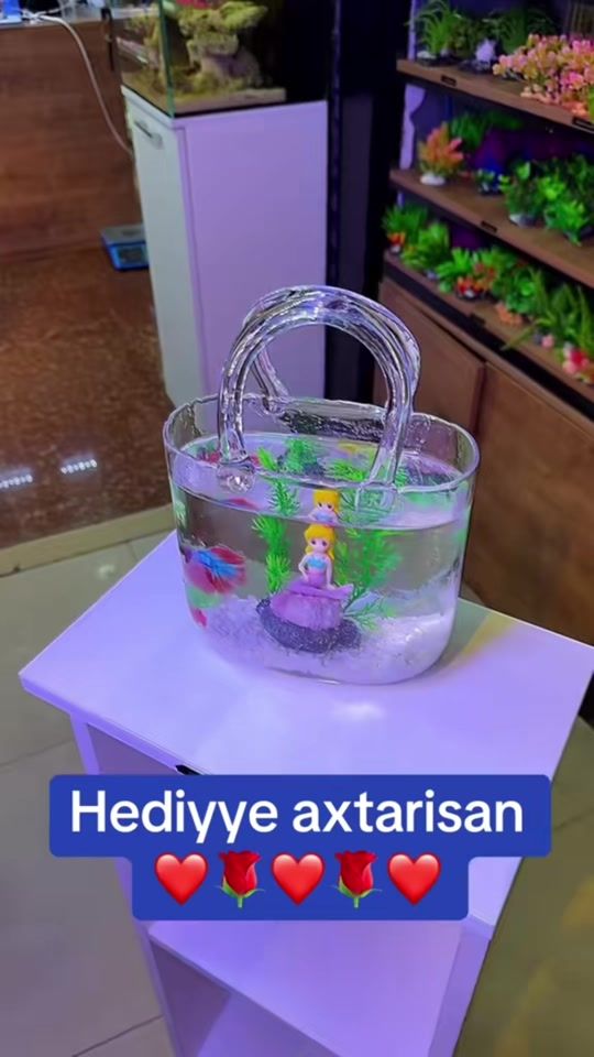 TikTok video thumbnail by aquanemo3