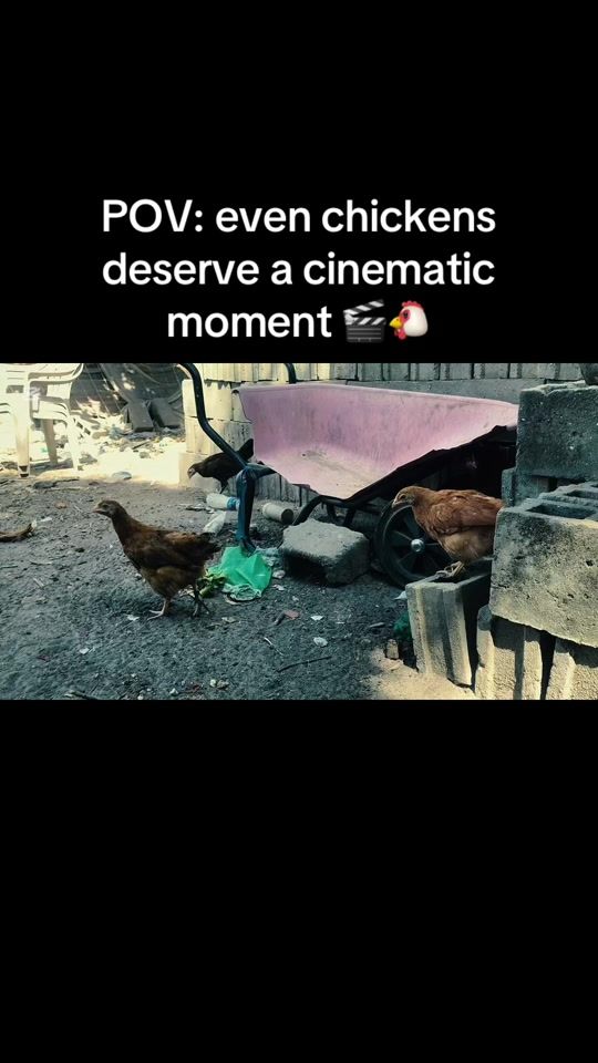 TikTok video thumbnail by paps3.8
