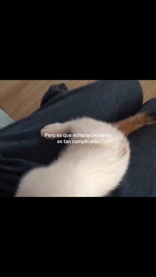 TikTok video thumbnail by edissamdro