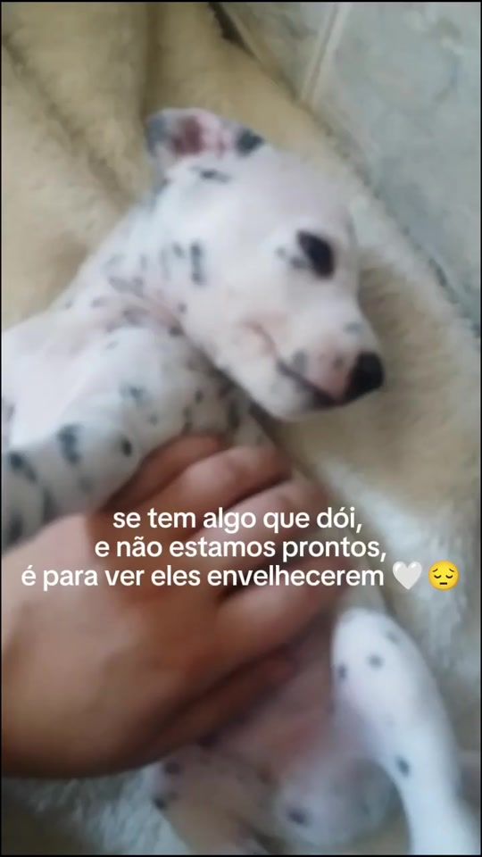 TikTok video thumbnail by zoologicodabracho
