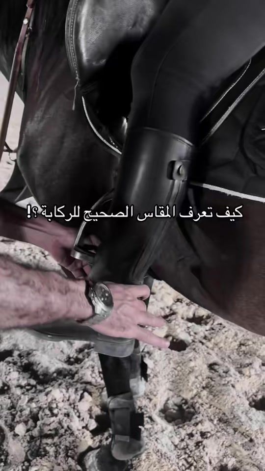 TikTok video thumbnail by bridle.ksa