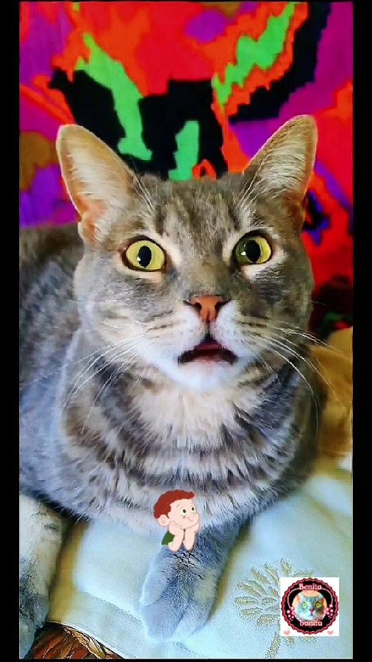 TikTok video thumbnail by berlina73